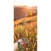 oferowana sadzonka passiflora caerulea do ogrodu
