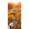 oferowana sadzonka passiflora caerulea na balkon