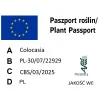 Paszport roślin Colocasia
