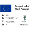 paszport roślin Iris