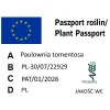paszport roślin Paulownia tomentosa