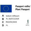 paszport roślin Sedum reflexum