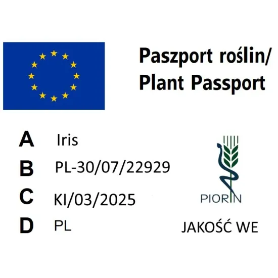 paszport roślin Iris