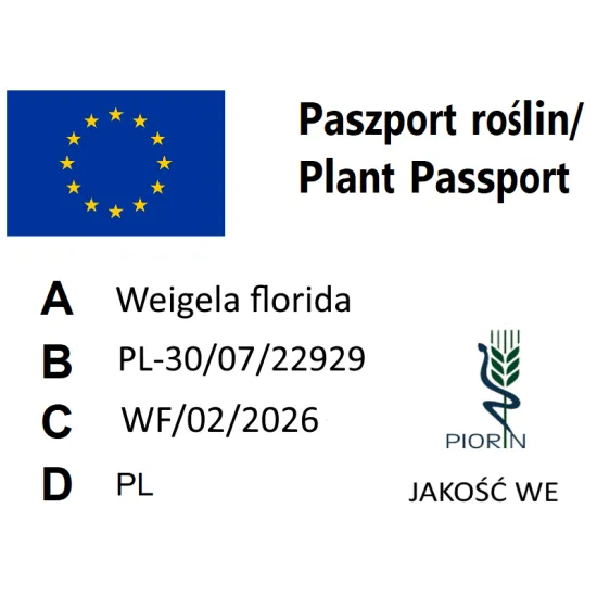 paszport roślin Weigela florida