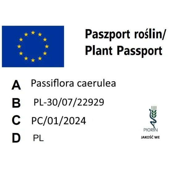 paszport roślin Passiflora
