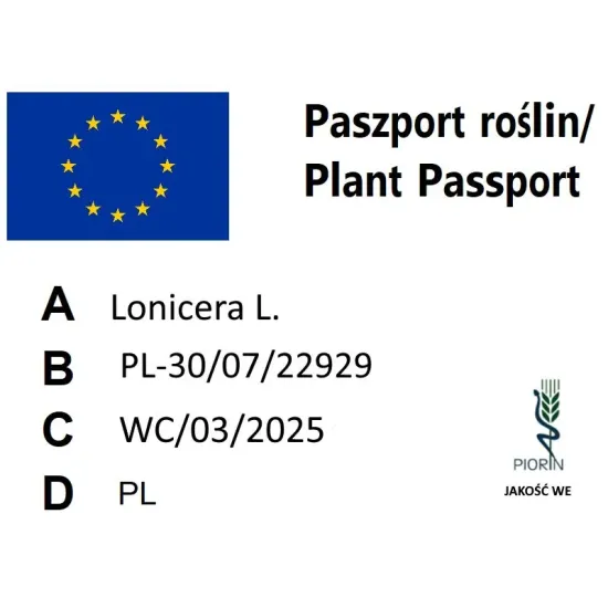paszport roślin Lonicera