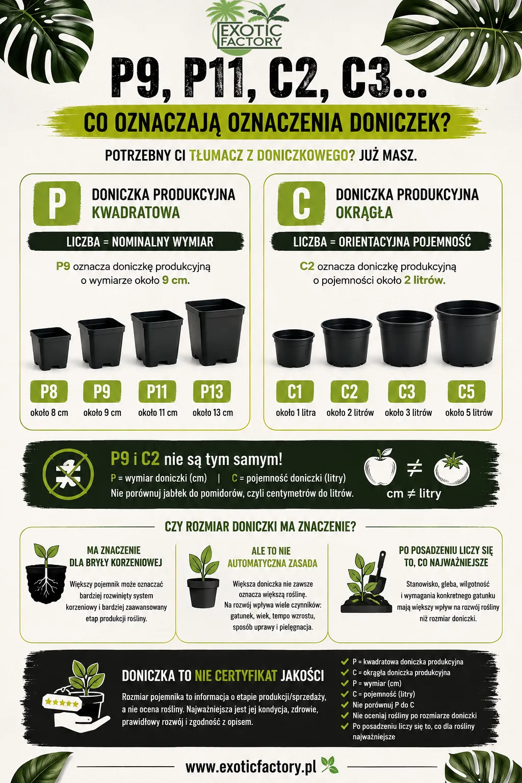 objaśnienie oznaczeń rozmiarów doniczek produkcyjnych