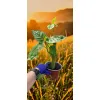oferowana sadzonka drzewa pomidorowego w doniczce 0,8 litra
