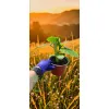 oferowana sadzonka drzewa pomidorowego w doniczce 0,8 litra