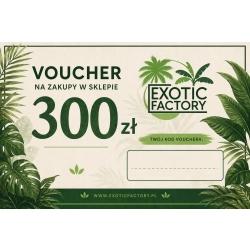 voucher bon podarunkowy karta podarunkowa o wartości 300 PLN na zakup roślin