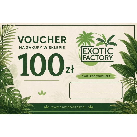 voucher bon podarunkowy karta podarunkowa o wartości 100 PLN na zakup roślin
