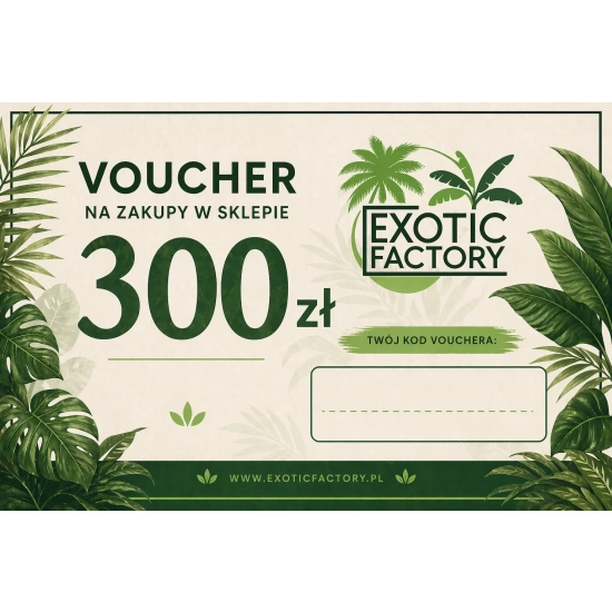 voucher bon podarunkowy karta podarunkowa o wartości 300 PLN na zakup roślin