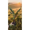 oferowana sadzonka bananowca Musa Sumatrana Zebrina Rojo w doniczce P8